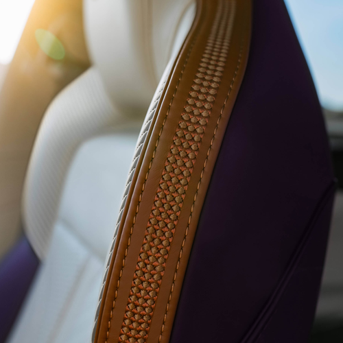 2027 Aston Martin DBX GT Interior